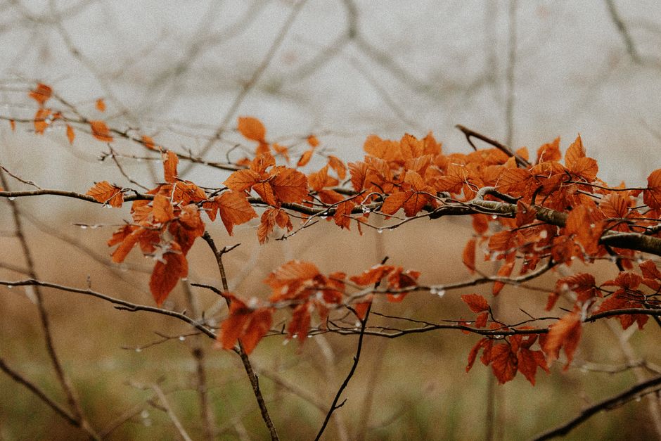 Gezellige zithoek met kleurrijke herfstposter display.