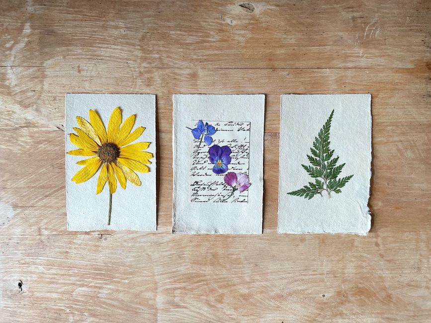 Vintage botanische prints aan muur in moderne woonkamer. Vintage botanische prints aan muur in moderne woonkamer.